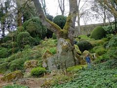149 PARC ORIENTAL DE MAULEVIER MAINE ET LOIRE 2016 N2_000009